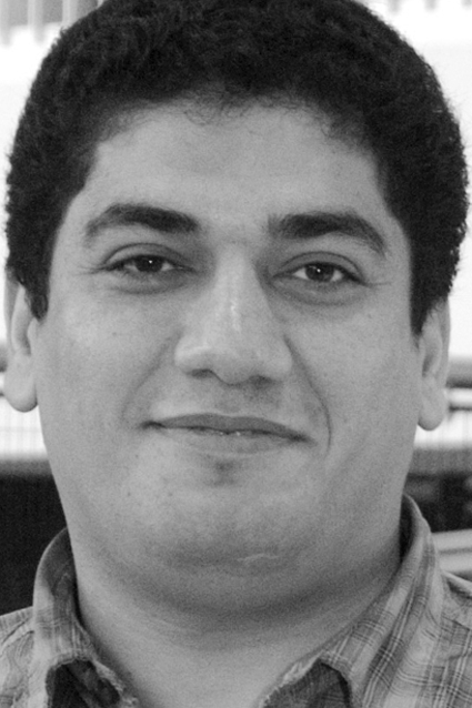 Hamid Reza Karimi, PhD, MSc. Faculty of Engineering and Science,
